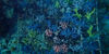 Zepp Health and Coral Guardian's Restored Coral Reefs, One Year Later
